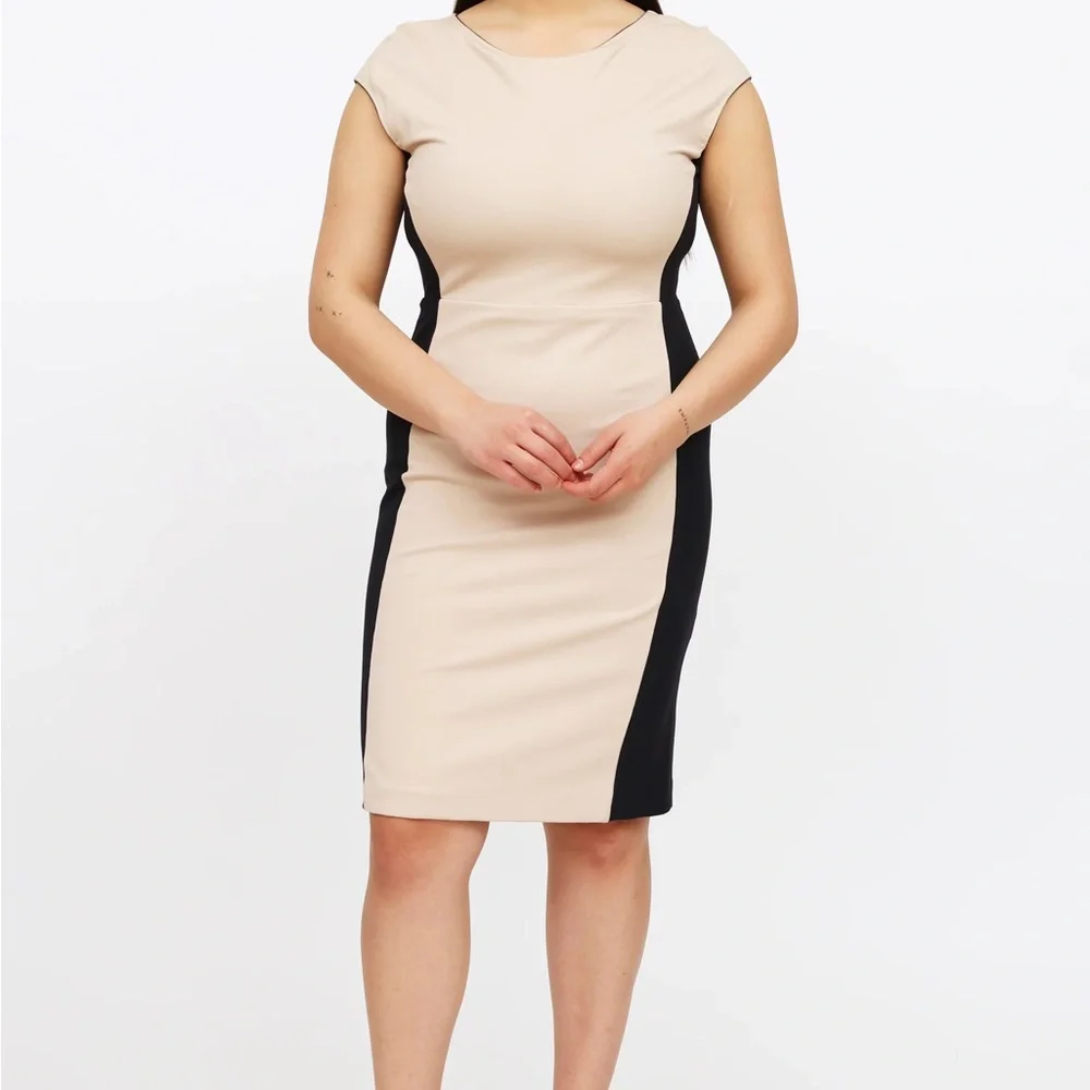 Max Mara Beige and Navy Dress sz 6 or 40
